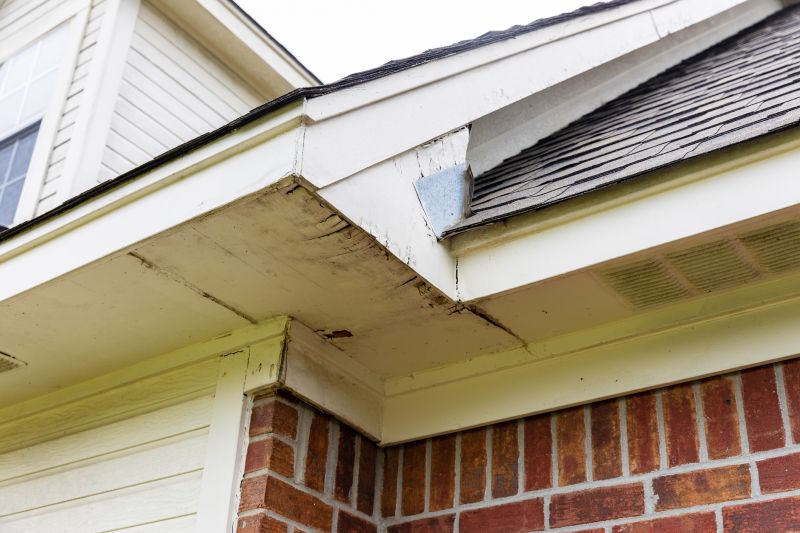 Fascia Repair